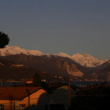 Airone Maggiore * Monvalle