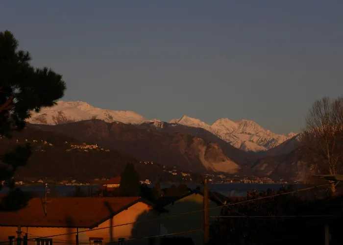 Airone Maggiore * Monvalle