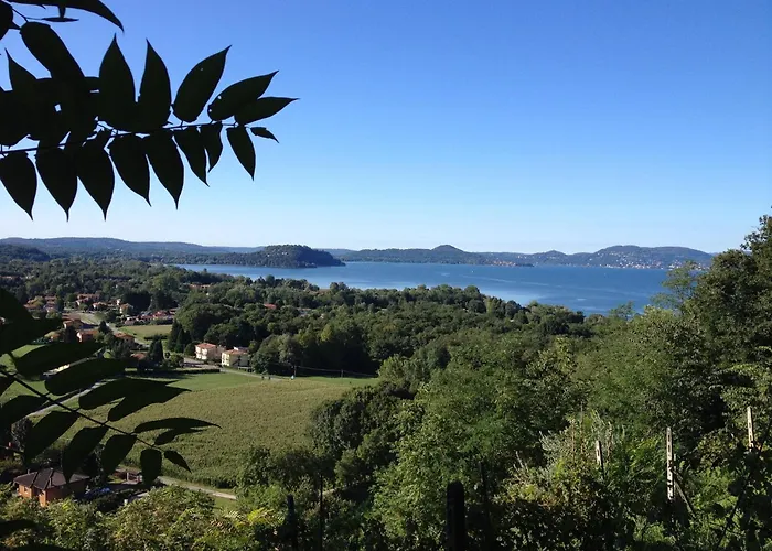 Airone Maggiore Monvalle