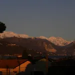 Airone Maggiore * Monvalle