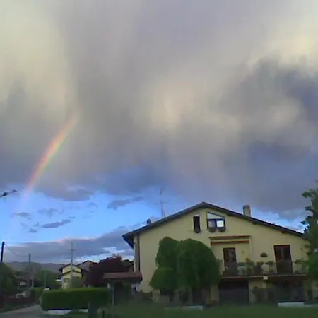 Airone Maggiore *
