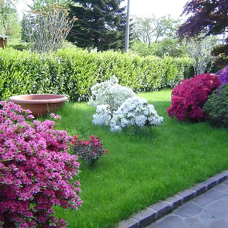 Apartment Airone Maggiore *