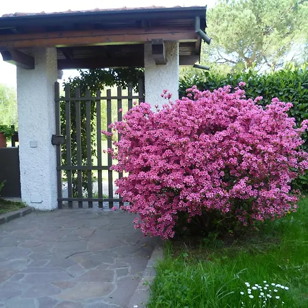 Airone Maggiore Appartamento *