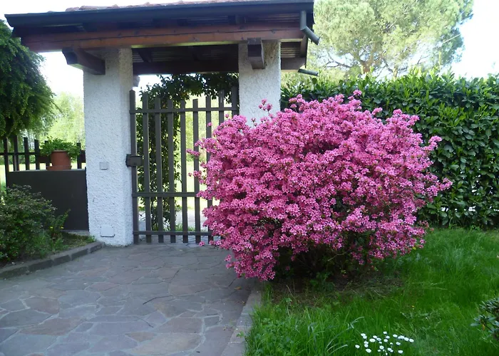 Airone Maggiore 아파트 *