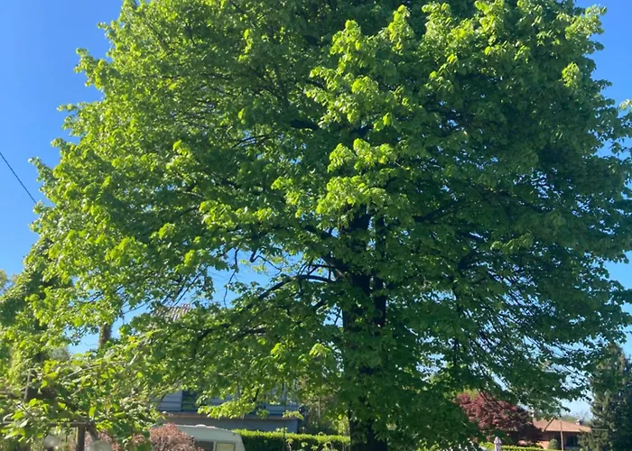 아파트 Airone Maggiore *