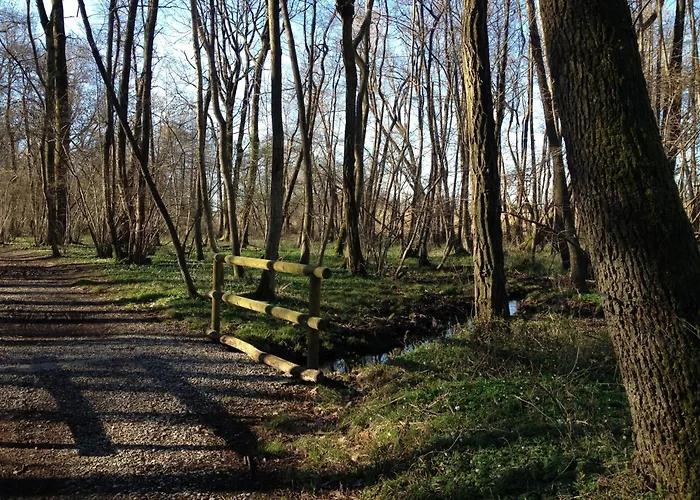 Airone Maggiore * Monvalle